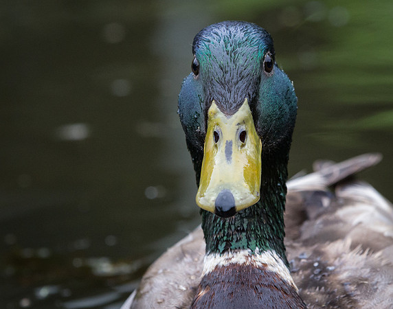 What Are You Lookin' At?