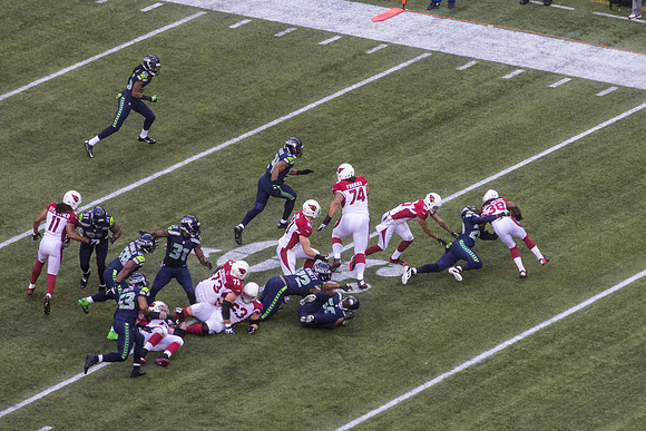 Jeremy Lane Wraps Up A Bird