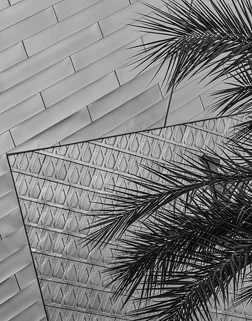 Palms and Metal