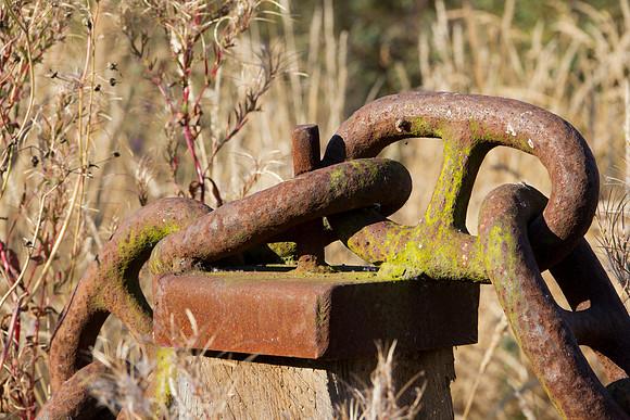 Maritime Fence