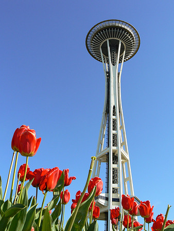 Space Needle and Tulips