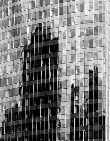Bellevue Reflections