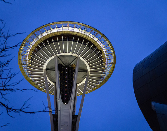 Needle At Dawn