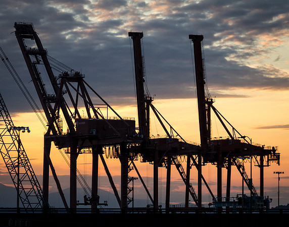 Port Cranes at Sunset