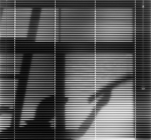 Window Washer