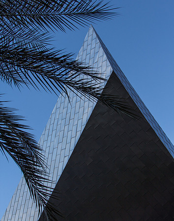 Triangles and Palms