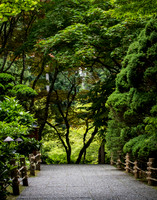 Serenity Walk