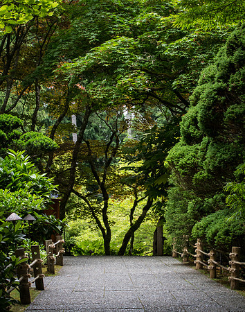 Serenity Walk