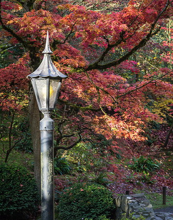 Fall Lamp Post