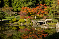 Seattle Japanese Garden, Washington Arboretum