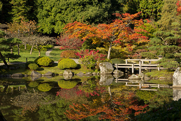 Seattle Japanese Garden, Washington Arboretum